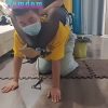 ACF-083 (3)
